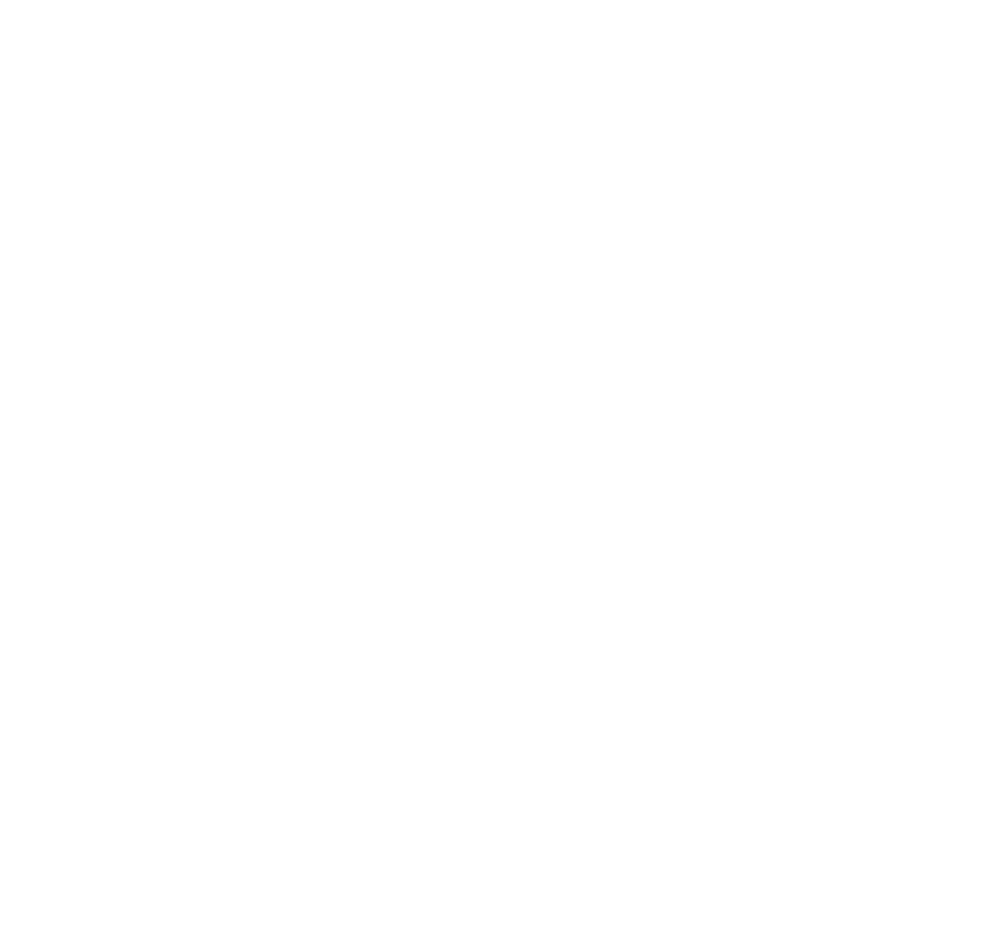 India Influencer Agency